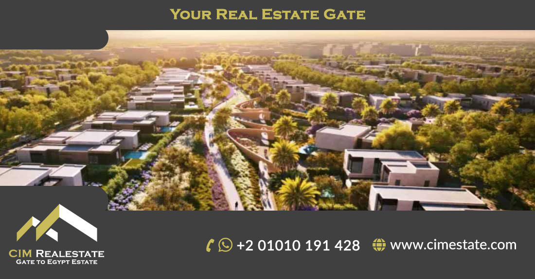 Solana Compound New Zayed
