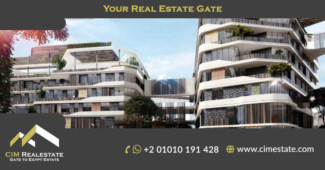 One 33 Compound October